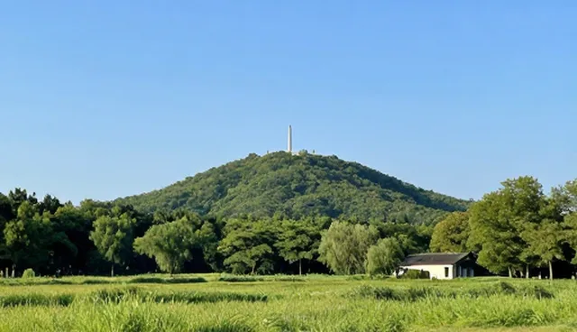 服务器配置如何影响性能表现与适用场景