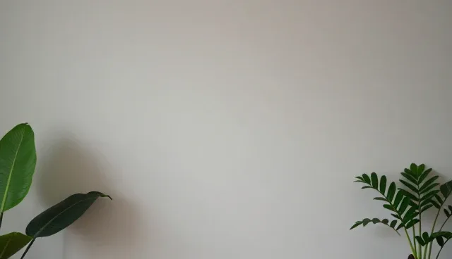 系统集成在短视频运营中的适用条件与选择依据